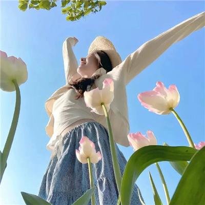 星河战队:入侵